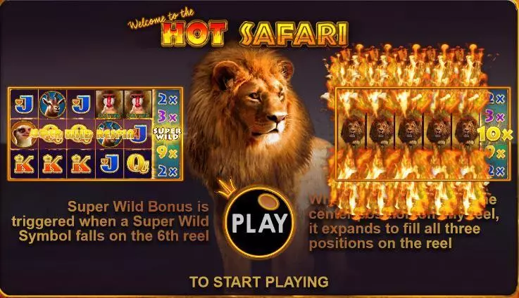 Hot Safari Topgame Slot Info and Rules