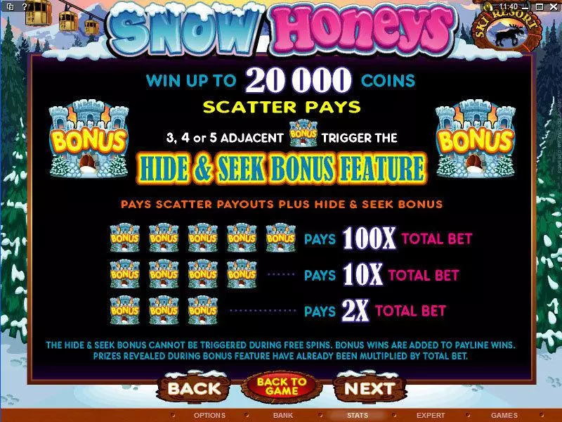 Snow Honeys Microgaming Slot Info and Rules