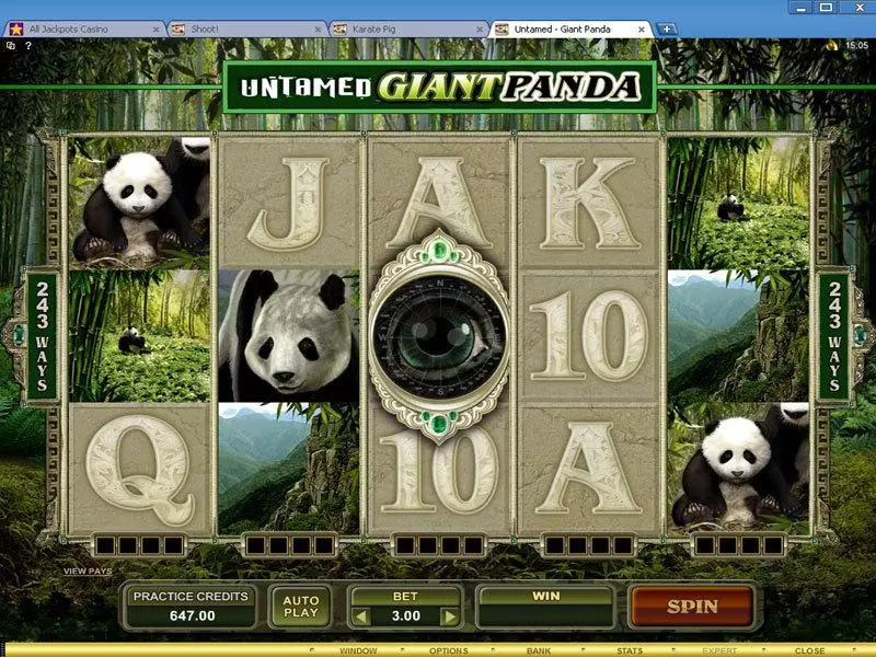 Untamed - Giant Panda Microgaming Slot Main Screen Reels